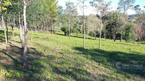 Se Vende Terreno En Terrazas De Andrade Misiones. 20x40m