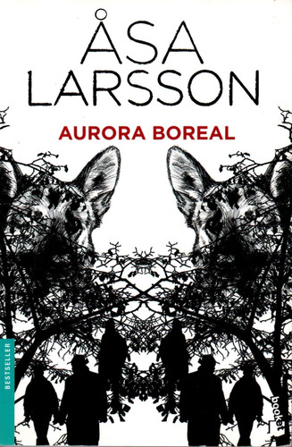 Aurora Boreal - Asa Larsson