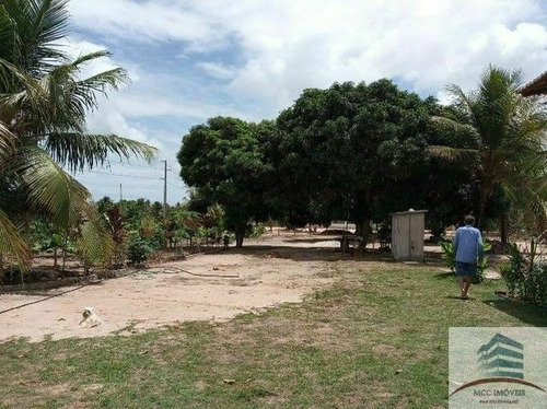Imagem 17 de 20 de Granja A Venda Rio Do Fogo