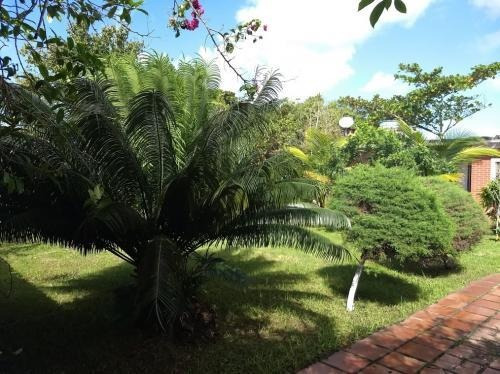 Imagem 4 de 13 de Linda Casa Lado Praia E Com Pomar Em Itanhaém Litoral Sul Sp
