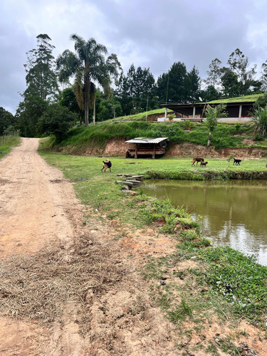 Sítio Em Apiaí Sp Com 143,400m2 (6 Alqueires) Vendo Terreno Casa Urgente!