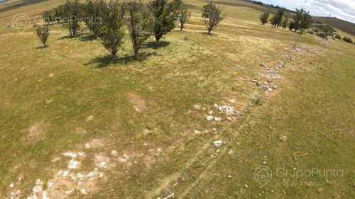 Campo En Venta - Rocha
