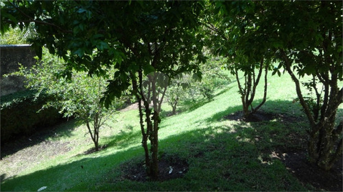 Imagem 21 de 27 de Apartamento Alto Padrão Localizado Em Rua Tranquila Nas Imediações Do Parque Burle Marx - Reo369497
