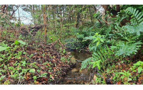 Hermosa Parcela Con Estero En Puerto Varas