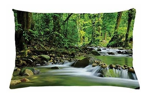 Rainforest Throw Almohada Cojín Cubierta Por Ambesonne Monta