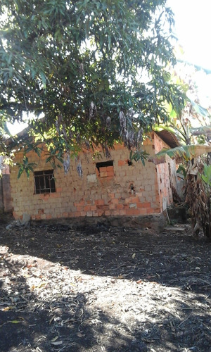 Casa Velha