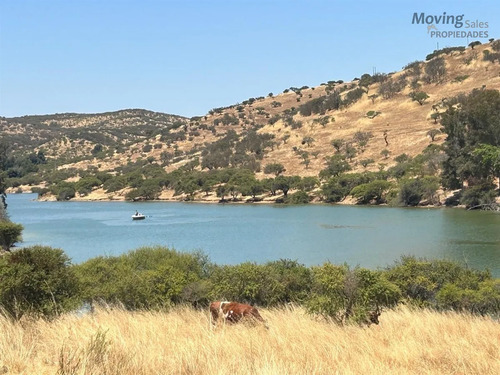 Sitio Idilico 5000m2 Plano Salto Agua Orilla Del Lago Rapel