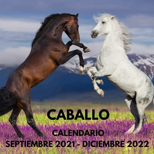 Libro: Calendario Caballo Septiembre 2021 Diciembre 2022: De