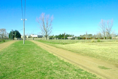 Imagen 4 de 6 de Vendo Lote