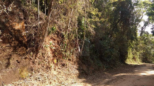 Imagem 1 de 2 de Terreno À Venda, 2938 M² Por R$ 120.000,00 - Prata - Teresópolis/rj - Te0149