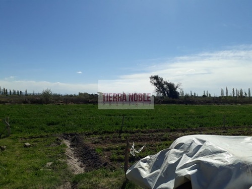 Imagen 15 de 17 de Permuto Por Casa Finca Agroganadera