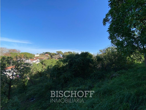 Venta De Lote En Ostende Calle Moreno
