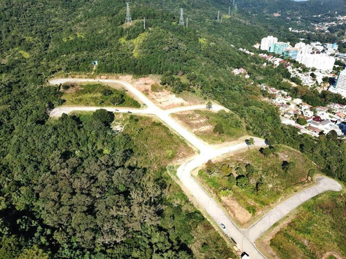 Imagem 12 de 19 de Loteamento Alto Padrão No Itacorubi, Com Vista Panorâmica! - Te0541