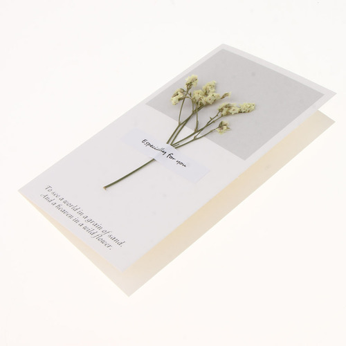 Paquete Flores Secas Tarjetas De Felicitación Amarillo