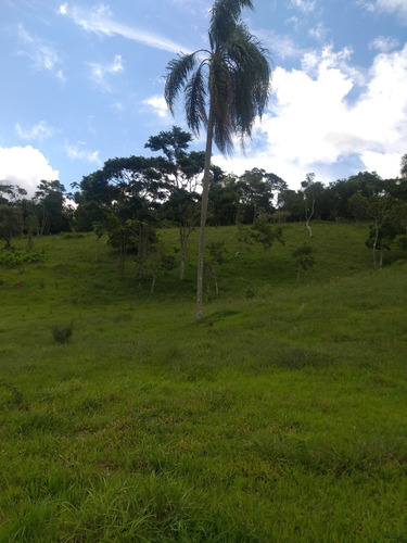 Imagem 5 de 7 de #v#j11- Lotes A 11 Km Do Centro De Igaratá