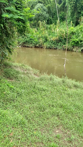Imagem 5 de 12 de Miracatu/lindo Sitio Com Pasto/bela Casa E Piscina/ac/auto/ref:05355