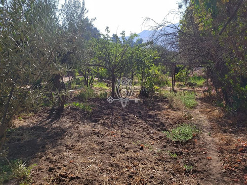 Terreno Construccion  En Venta En La Reina