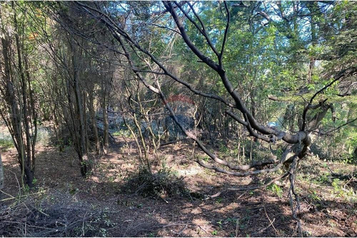 Parcela A Orillas De Río Trancura, Pucón
