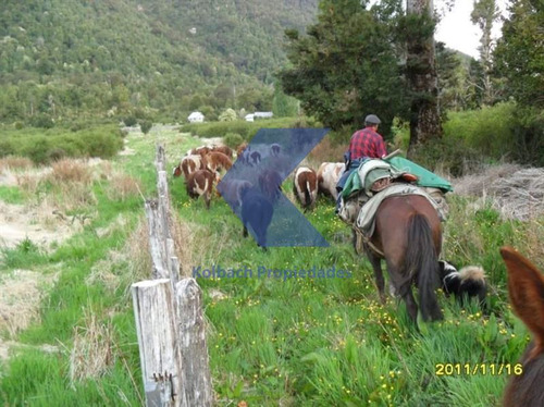 Terreno Con Orilla De Río En Venta En Cisnes