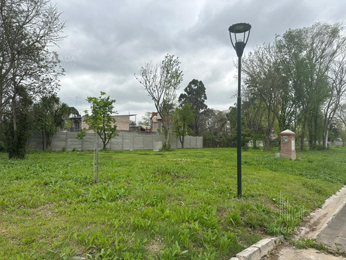 Venta Lote Financiación Avenida Olivos Y Panamericana Excelente Ubicación !!!