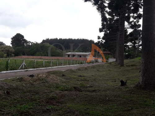 Chácara 4.000m², 02 Casas, Tanque De Peixe, Em Campestrinho - Mandirituba/pr. - Cha007 - 68995278