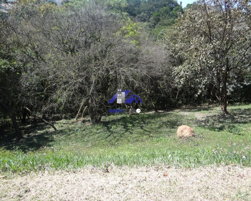 Terreno - Te00173 - 68805873