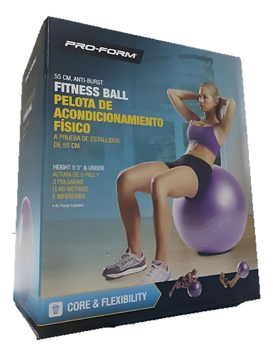 Pelota Para Ejercicio 55 Cm Con Bomba De Aire Morada