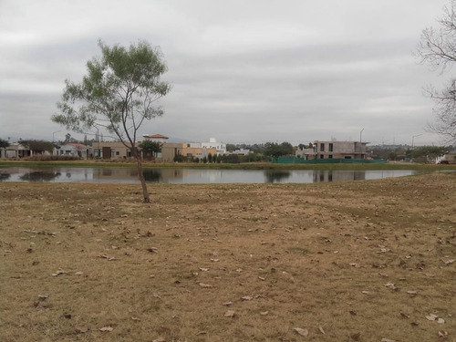 Imagen 4 de 6 de Terreno Venta Jardines De San Lorenzo 800 M2