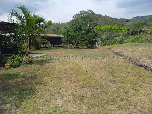 Terreno En Bejuma De 6.000 Metros