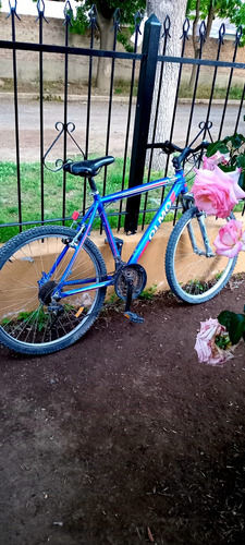 Olmo Rodado 26