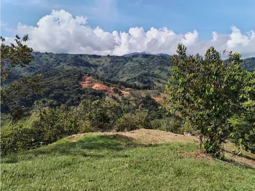 Lote En Venta, Los Cedros, Cocorná