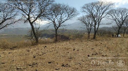 Imagen 15 de 30 de Campo En Venta En Salta - 2000 Has