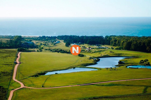 Imagen 3 de 7 de Espectaculares Lotes A Pasos Del Mar Con Un Entorno Único, Lotes Desde 4.500 Mt2 - Jose Ignacio San Vicente