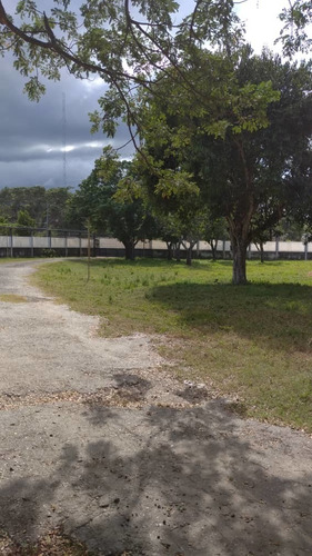 Imagen 8 de 10 de Finca En Guigue