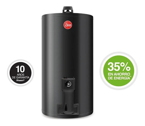 Imagen 5 de 8 de Termotanque Rheem A Gas 80 Lts De Colgar Gtia Beiro Hogar
