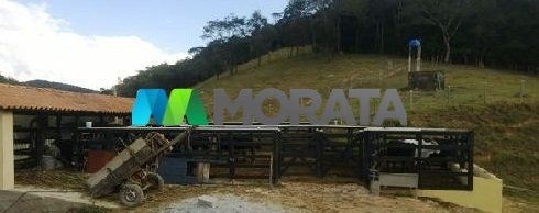 Imagem 8 de 11 de Fazenda - Zona Rural - Ref: 3276 - V-mta3276
