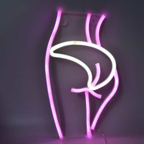 Fonte De Alimentação Dupla Neon Light Female Model Interesti
