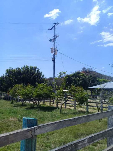 Imagen 11 de 30 de Finca De 440 Has En Cojedes-acarigua. 3 Pozos De Agua, Electricidad.