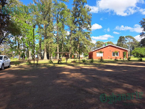 Imagen 13 de 18 de Oferta - Venta Lote En Tres Pinos - Gral. Rodriguez.