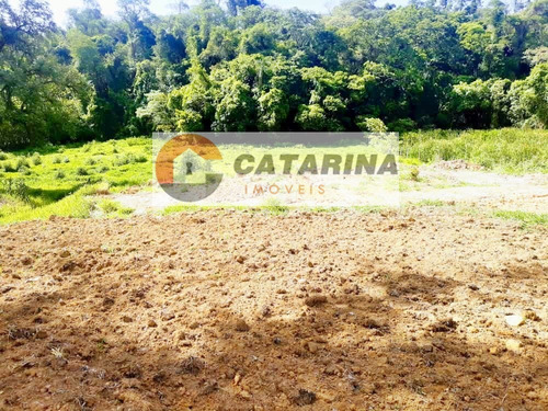 Imagem 6 de 8 de ***lindo Sitio***