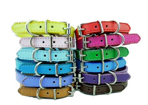 Juego De Collares Para Mascotas De 12 O 16 Collares De Ident