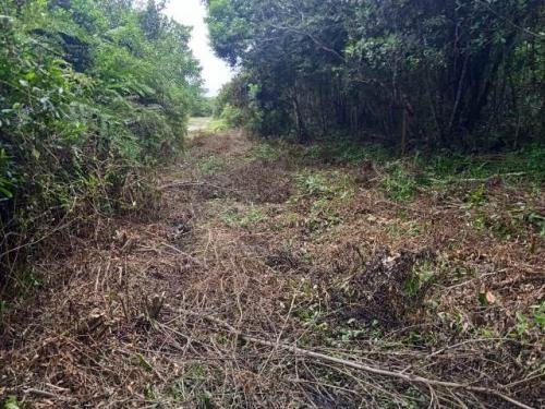 Imagem 4 de 6 de 7691 | Terreno No Jd Marambá, Com 286 M², Em Itanhaém.