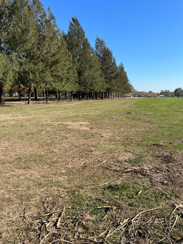 Lotes - Terreno En Venta - Barrio Abierto - Las Merceditas
