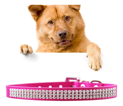 Collar Para Mascotas Con Diamantes De Poliuretano