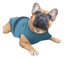 Comprar Poleras Abrigos Buzos Camperas Ropa Para Perros Y Gatos Snow