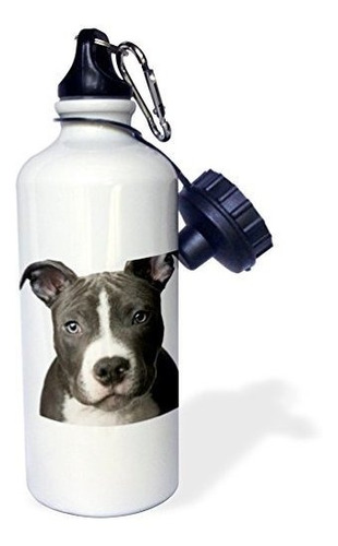 3drose Botella De Agua Para Deportes American Pit Bull Terri
