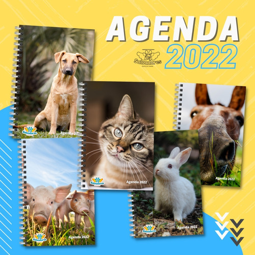 Agenda 2022 Salvadores