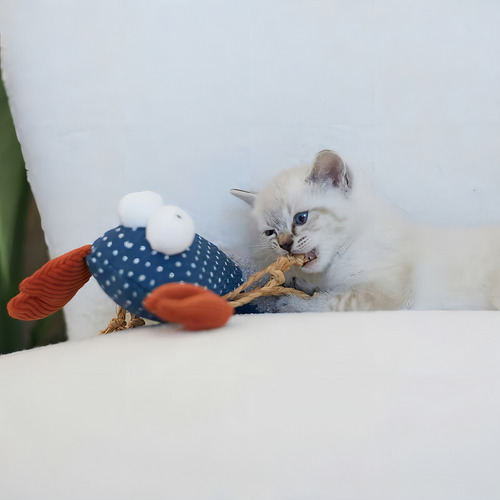 Juguete Para Gatos Gigwi Catch Y Scratch Catnip 18 X 15 Cm Color Celeste