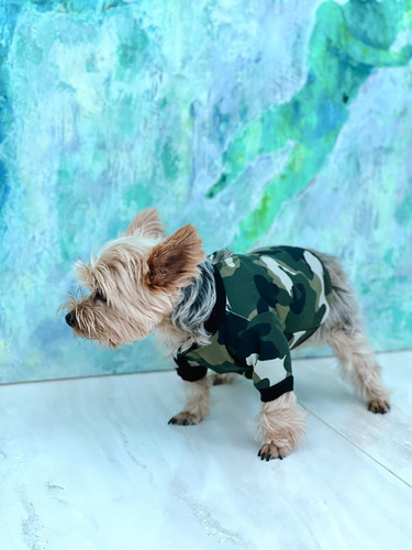 Imagen 3 de 8 de Suéter Para Perro Military