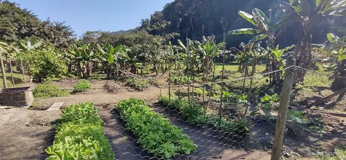 Imagem 4 de 14 de Miracatu/lindo Sitio Rico Em Agua/casa/ac/oferta/ref:05240